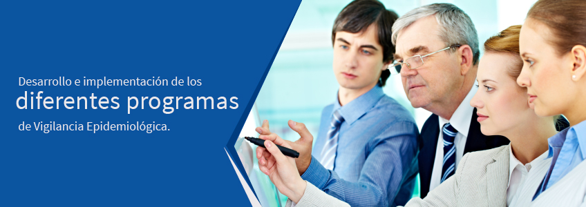 programa de vigilancia epidemiologica en salud ocupacional